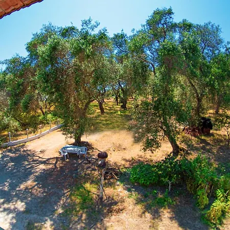 Marabu Seaview Appartamento Notos